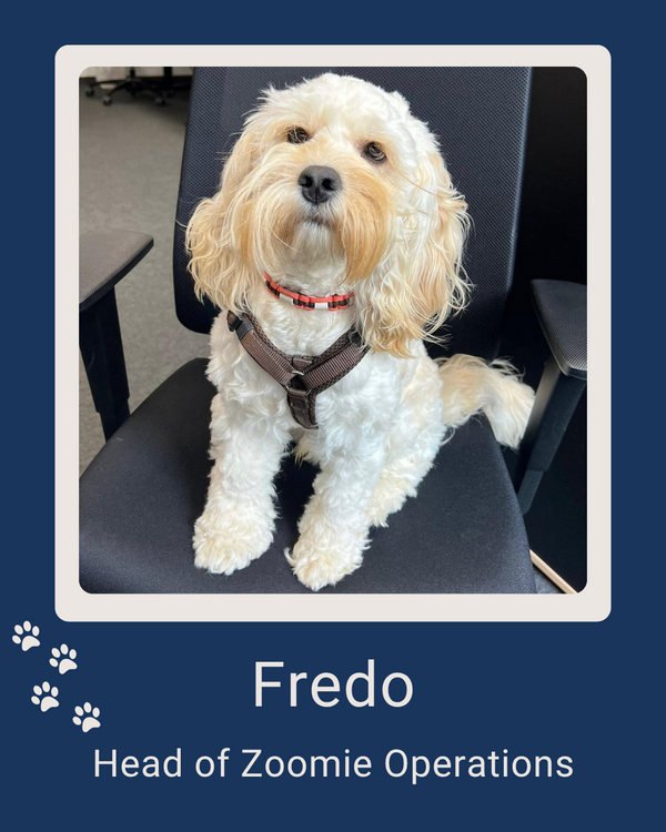 Fredo
