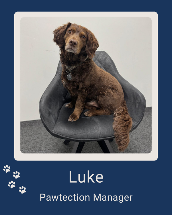Luke